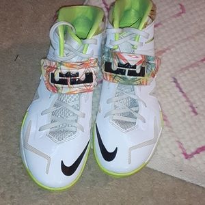Lebron shoes